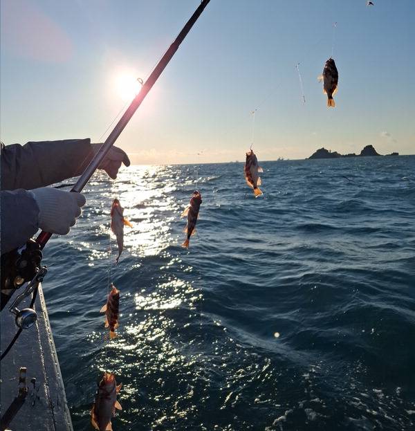 부산권 열기 낚시.