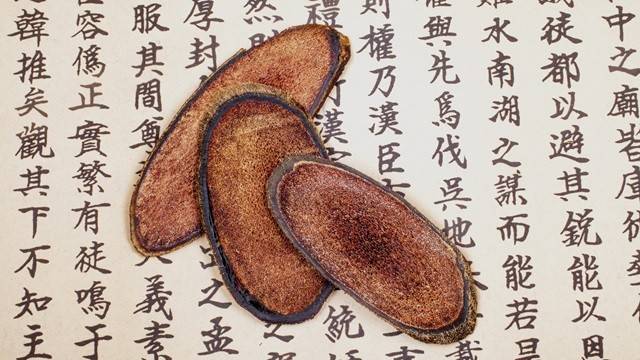 녹용은 피로회복과 면역력 개선 등에 도움이 되는 한약재다ㅣ출처: 게티이미지뱅크