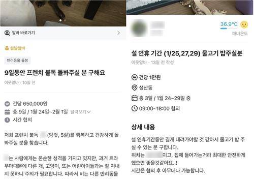 설 연휴에 프렌츠 불독 돌봄, 물고기 밥 주기 아르바이트 모집글. 당근 제공