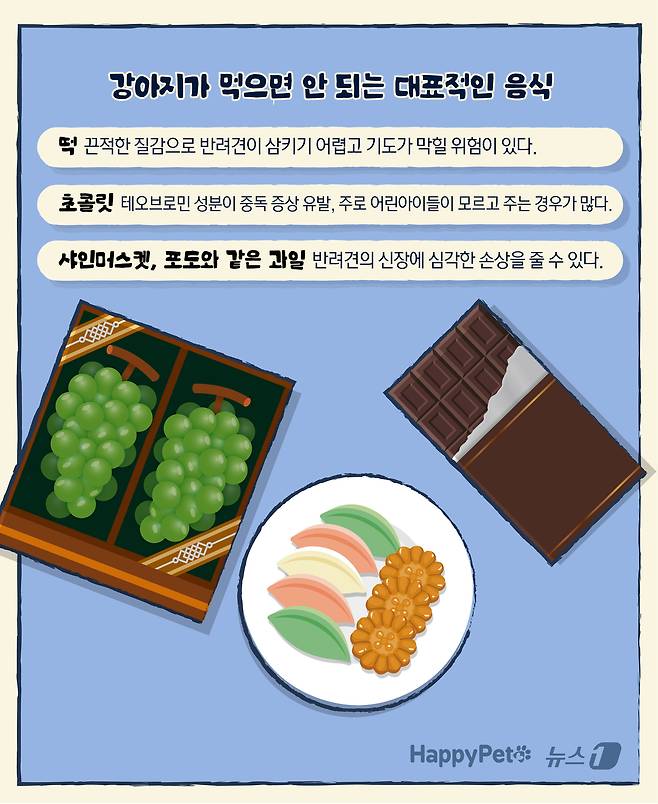 ⓒ News1 윤주희 디자이너