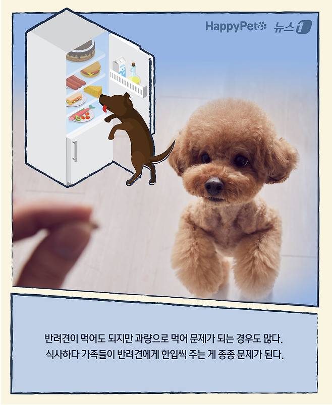 ⓒ News1 윤주희 디자이너