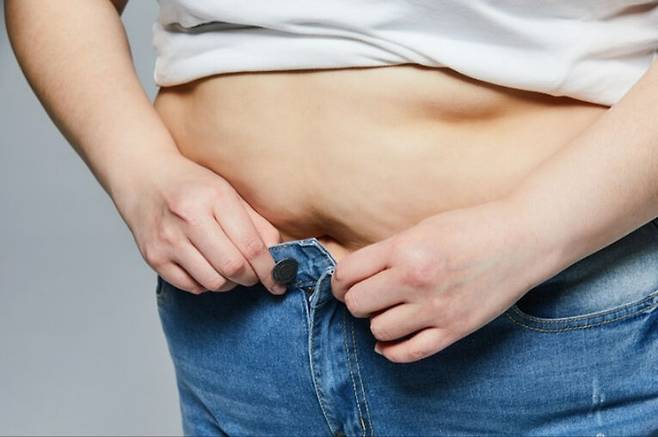 복부 지방. 게티이미지뱅크