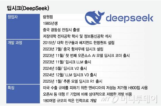 딥시크(DeepSeek)/그래픽=임종철