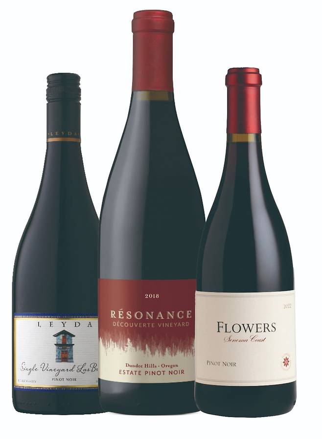왼쪽부터 레이다 코스탈, 라스 브리사스 피노 누아 / 레조낭스, 데꾸베르트 빈야드 피노누아 / 플라워스, 소노마 피노 누아