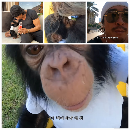 사진 = 유튜브 ‘추성훈’