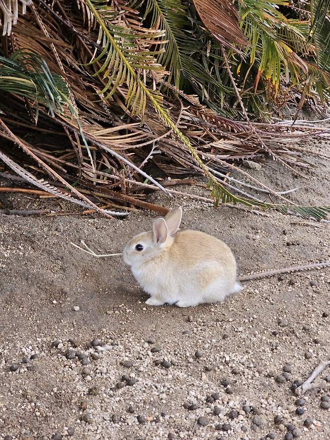 3fb8c32fffd711ab6fb8d38a4780766db022d808ebb52b280bb386d02f0e835b22f37a04e8687d9c0c6e310d5bb7