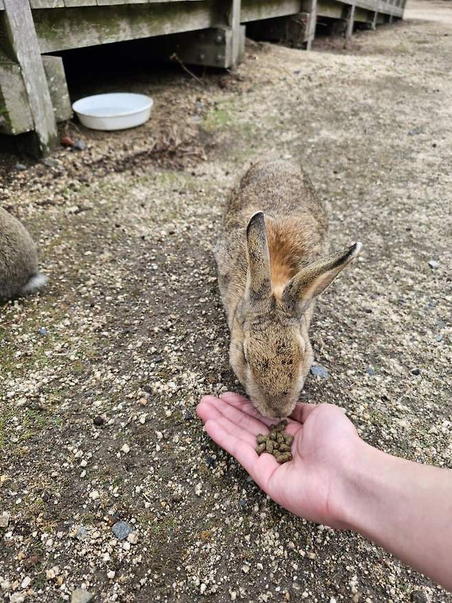 3fb8c32fffd711ab6fb8d38a4286766dc8f36e30e4be5e19a2292ece58f05ee4ed80f22d18b004ce4775408bf781