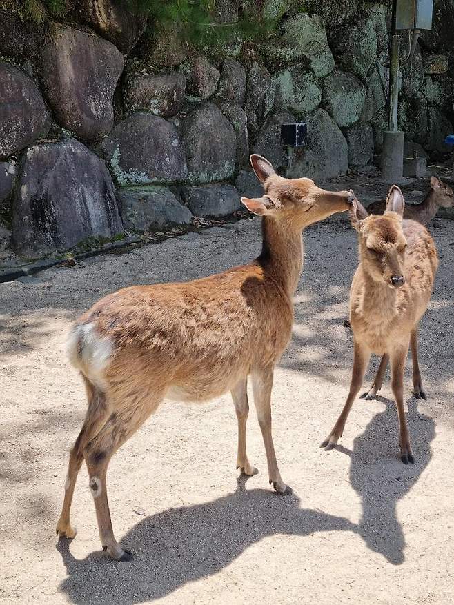 7aef9e2cf5d518986abce89540817c656f4313