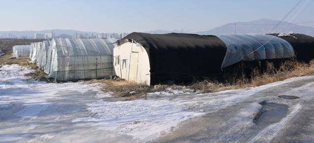 경기 포천시 비닐하우스 단지에 검은 차양막에 싸인 불법가건물 기숙사 주변 땅이 추위로 인해 얼어있다. 샌드위치 패널로 만들어진 컨테이너형 기숙사는 화재에 취약하고 단열이 부실하다. 포천=최주연 기자