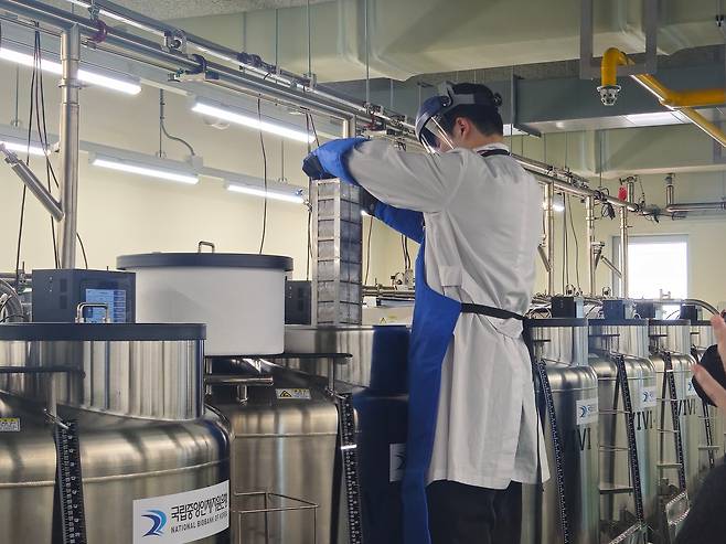 국립중앙인체자원은행 연구원이 11일 입고된 인체자원 바이알을 2층 액체질소 냉동고 저장실에 저장하고 있다./오송=염현아 기자