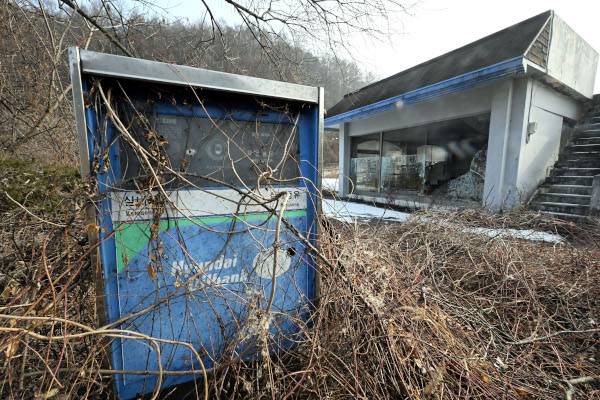 덩굴과 잡초들이 강원도 춘천시의 폐업 주유소에 버려진 주유기를 칭칭 휘감고 있다.