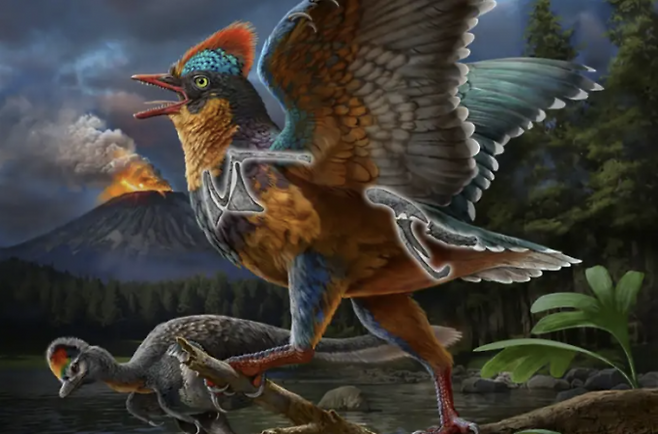 '바미노르니스 정헨시스(Baminornis zhenghensis)'를 상상해 그린 이미지. ZHAO Chuang 제공