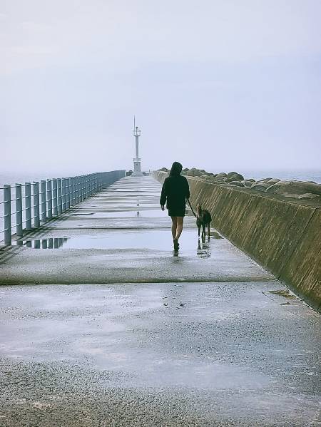 유재연 소설가와 시베리안허스키 '멍군이'가 제주 바다를 산책하고 있다. 멍군이도 한 달에 한 번 산책하는 게 전부였다고. 1년간 실컷 산책한 뒤 무지개다리를 건넜다./사진=유재연 소설가