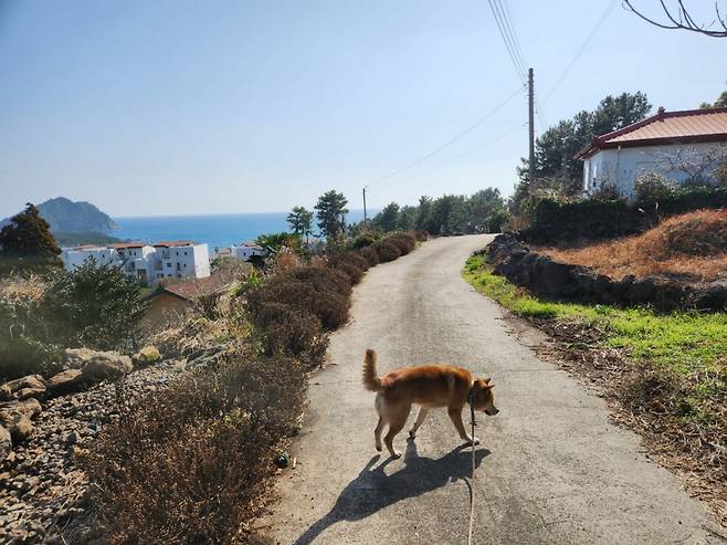 복이 많다고 지어준 '다복이'란 이름. 그러나 그걸 가능케 한 건, 오롯이 한 사람의 온기 어린 시선과 노력이 있어서였다./사진=유재연 소설가
