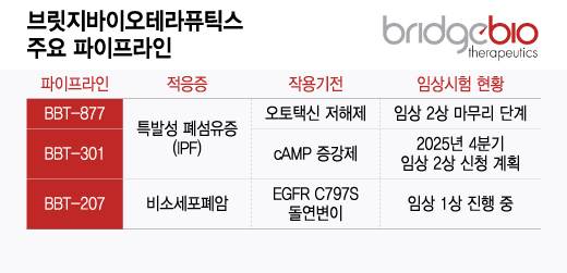 브릿지바이오테라퓨틱스 주요 파이프라인/디자인=윤선정