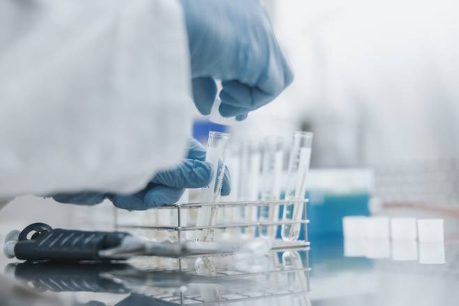 사진은 기사 내용과 직접적 관련 없음. /사진=게티이미지뱅크