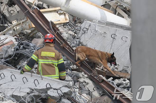 소방대원들이 25일 경기 안성시 서운면 산평리 서울세종고속도로 공사장 교량 붕괴 사고현장에서 구조작업을 펼치고 있다. 2025.2.25/뉴스1 ⓒ News1 김영운 기자