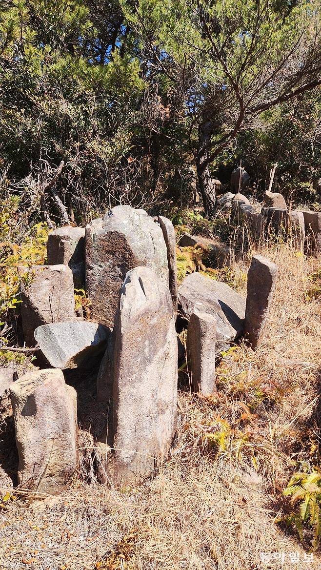부산 해운대구 장산 중턱에서 발견된 의문의 바위 배열. 면이 평평한 사각기둥 형태의 바위가 누군가 세워놓은 것처럼 배치됐다. 김화영 기자 run@donga.com