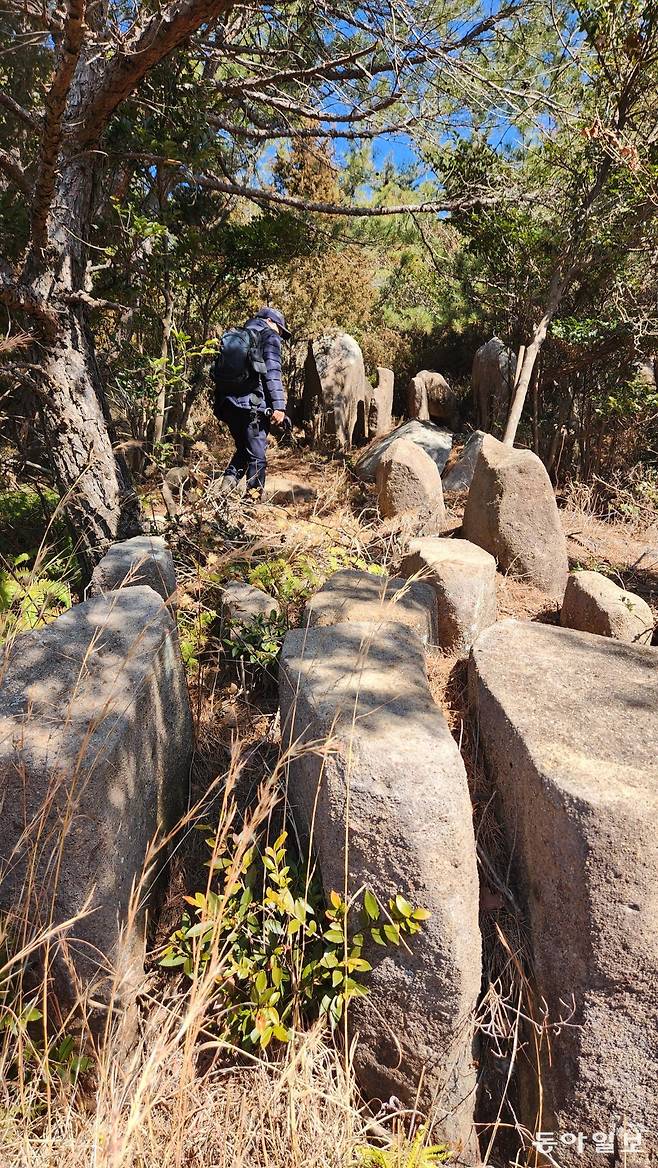 부산 해운대구 장산 중턱에서 발견된 의문의 바위 배열. 면이 평평한 사각기둥 형태의 바위가 누군가 세워놓은 것처럼 배치됐다. 김화영 기자 run@donga.com