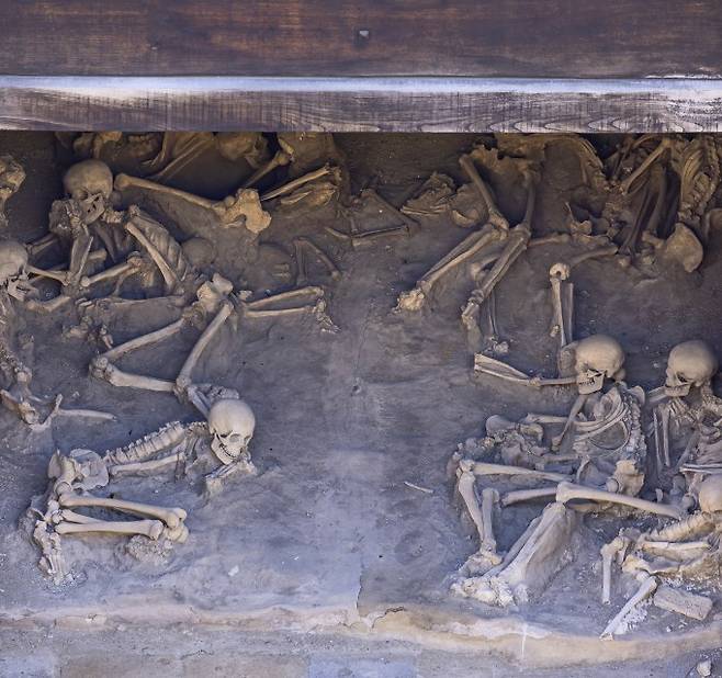 기원후 79년 베수비오 화산 폭발 사망자의 남아있는 유골. 게티이미지뱅크