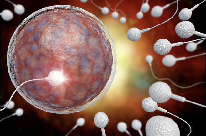 사진=게티이미지코리아.