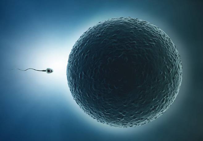 사진=게티이미지코리아.