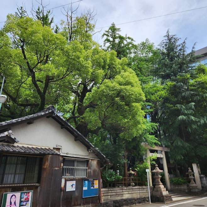 3fb8c32fffd711ab6fb8d38a4583746f638ec13df09d7176d567ce5a4d542a62ee73fa57a77abd19886df89784