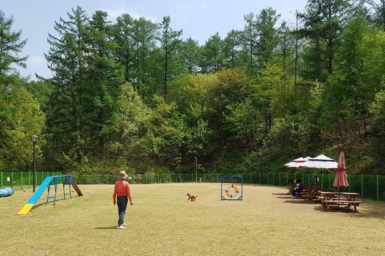 산음 자연휴양림은 국립 휴양림 중 가장 많은 반려견을 수용하고, 반려견 놀이터도 갖췄다. 사진 산림청