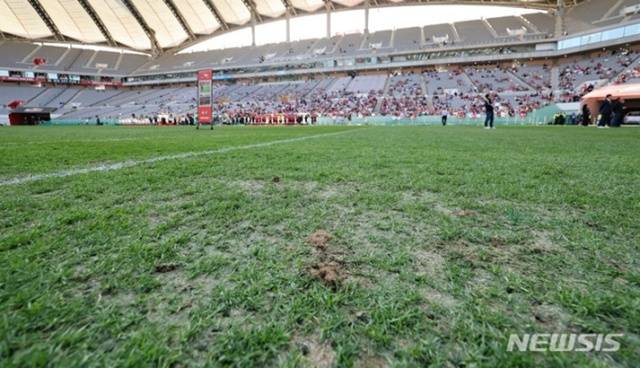 서울월드컵경기장 잔디상태. /사진=뉴시스 제공