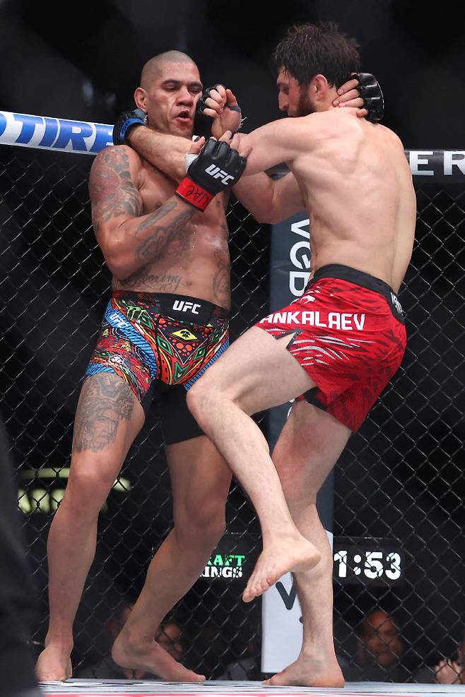 UFC 라이트헤비급 챔피언 알렉스 페레이라(왼쪽)가 도전자 마고메도프 안칼라에프의 클린치 공격에 고전하고 있다. 페레이라는 판정 결과 심판전원일치 판정패해 챔피언 벨트를 내려놓았다. 사진=AFPBBNews