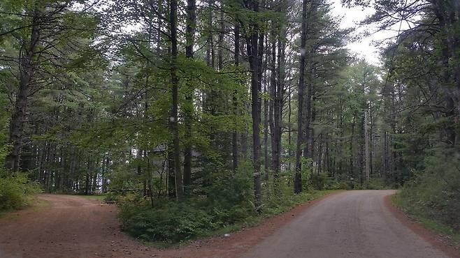 독일 막스플랑크인간개발연구소 연구진이 삶의 행로를 바꾸는 결정을 내려야 할 때 활용할 수 있는 다섯가지 전략을 제안했다. 픽사베이