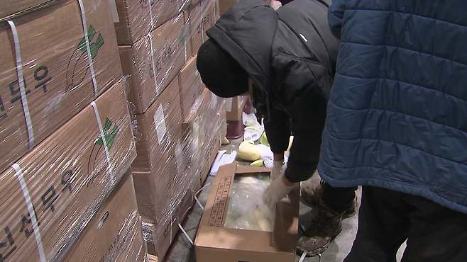 경매가 끝난 뒤 중국산 무를 챙기는 사람. 주변에서는 이 사람이 ‘중국인이라 한국말을 못 한다’고 했고, 이 사람은 취재진의 질문에 한 마디도 답하지 않고 자리를 떴다.