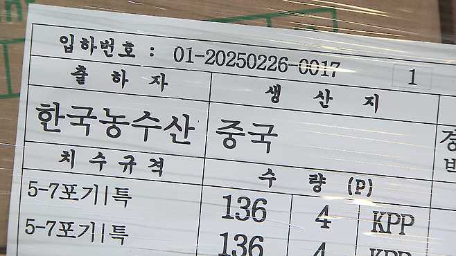 가락시장 경매에 올라온 중국산 배추의 출하자는 한국농수산식품유통공사, aT이다.