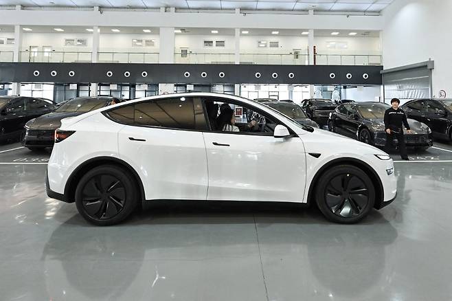 테슬라 모델Y/AFPBBNews=뉴스1