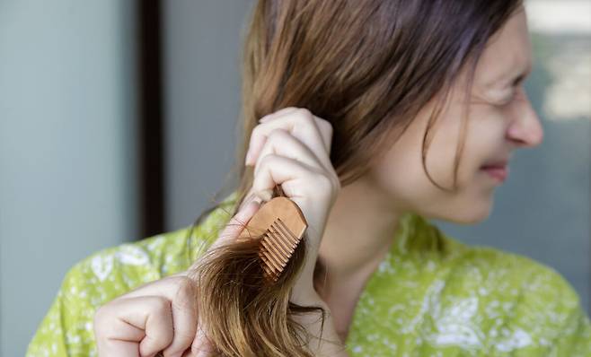 사진= 게티이미지뱅크