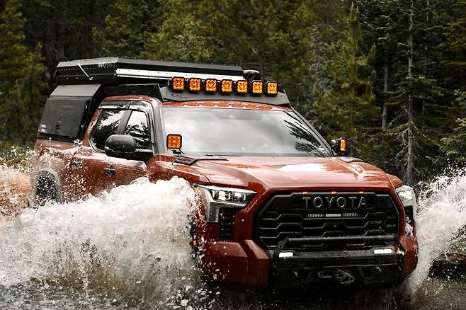 안티샨티 드웰 쉘