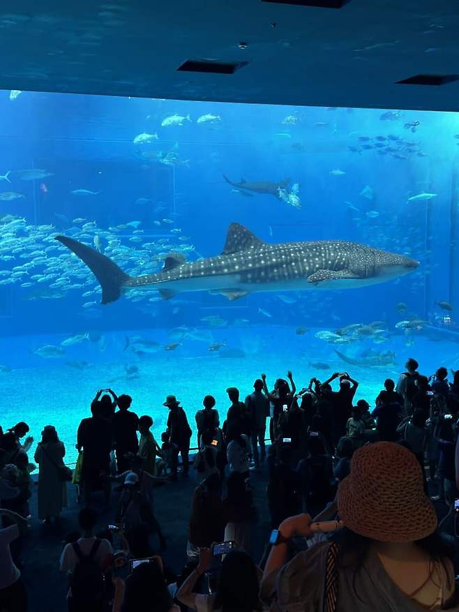 7c9f8807c3f76e82239af4e5459c701bae864904f5a8538065210378c1efaed7f9091252bd8eefdce6943cade7ac06fcab87329a94