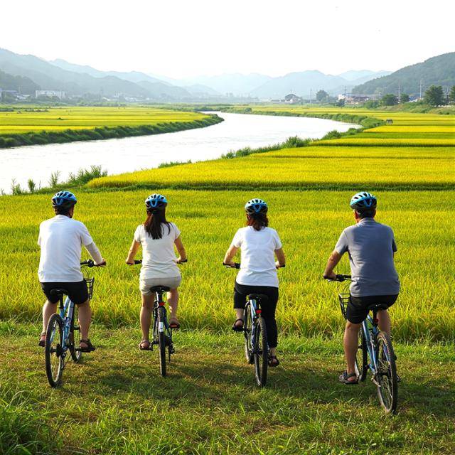 충남 예산 삽교읍 목리부터 아산, 당진 삽교호까지 이어지는 36.4km 길이의 삽교천 자전거길이 다음달 개통된다. 사진은 구글 인공지능(AI) 제미나이 2.0 플래시가 생성한 삽교천 자전거길 가상 이미지