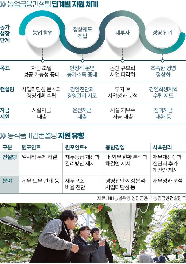 NH농협은행의 농업금융컨설팅이 진행 중인 충북 청주 ‘베리원 딸기’ 농장에서 이현규 대표(오른쪽)와 백남성 농협은행 농업금융·공공금융 부문 부행장(가운데) 등이 딸기의 생육 상태를 살펴보고 있다. 청주=김병진 기자