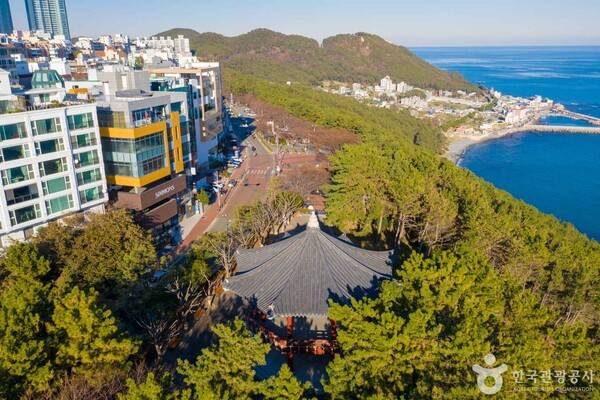 해운대 달맞이길 출처-포토코리아 한국관광공사 김지호