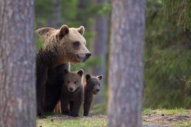 /사진=게티이미지뱅크