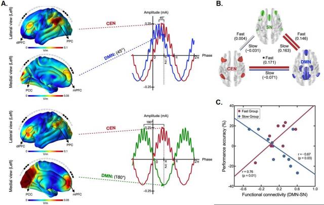 뇌 자극의 위상차에 따른 기억 능력 변화 실험을 설명한 그림. 사진 제공=고려대