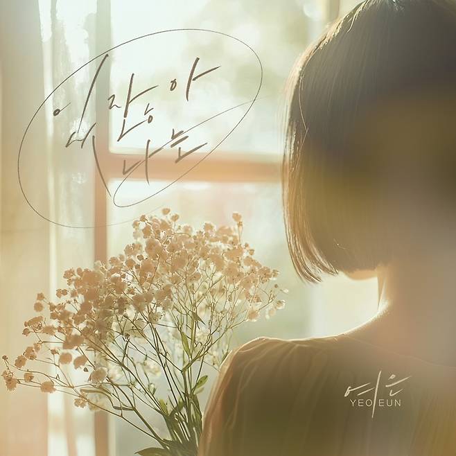 요구르트 스튜디오