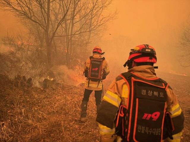 22일 오전 경북 의성군 안평면 괴산리 야산에서 산불이 발생해 확산중인 가운데 경북소방본부 소속 대원들이 현장에 투입돼 산불을 진화하고 있다. 경상북도소방본부