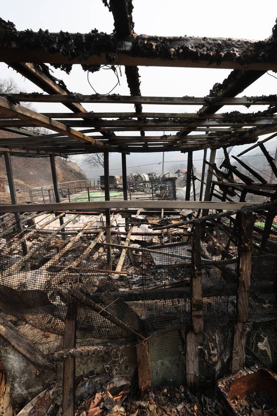 화마가 휩쓸고 지나간 23일 경남 산청군 시천면 중태마을의 한 농가가 무너져 내려 마치 폭격을 맞은 듯한 모습을 하고 있다. 송봉근 기자