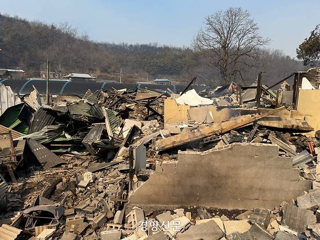 23일 산불로 주택이 전소된 경북 의성군 신월리 한 마을 모습. 백경열 기자
