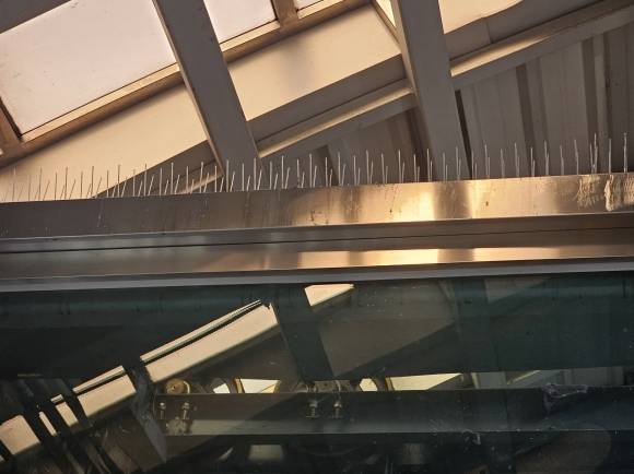 상계역 엘리베이터(E/L) 상단에 설치된 버드스파이크