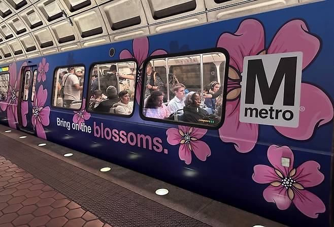 워싱턴 DC의 지하철 외벽이 벚꽃 무늬로 래핑이 돼 있는 모습. /워싱턴=김은중 특파원