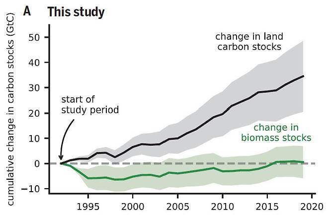 인류 활동으로 인한 이산화탄소 배출량 가운데 약 30%는 육상 생태계로 회수된다(land carbon stocks). 지금까지는 나무 생물량(biomass) 증가가 가장 크게 기여하는 것으로 여겨졌으나 최근 연구 결과 산불 증가 등으로 생물량의 기여는 미미하다. 사이언스 제공
