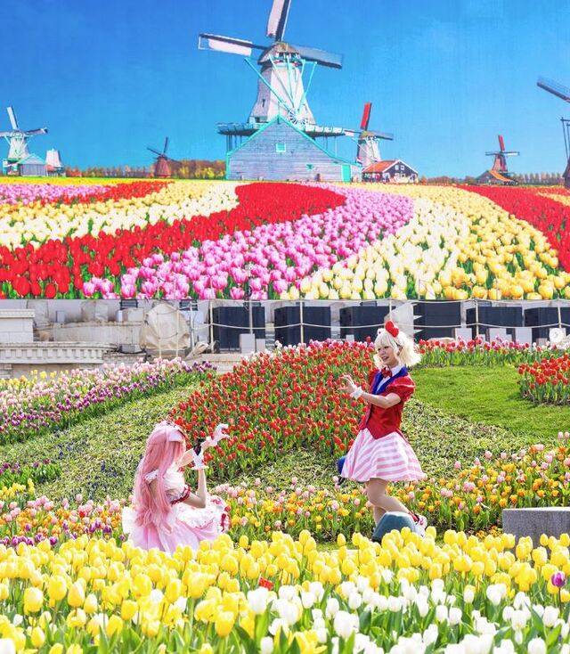 6월부터 에버랜드 내 상점에서 음료 테이크아웃 시 다회용컵을 사용한다. 사진은 포시즌스 가든의 튤립축제. 에버랜드 SNS